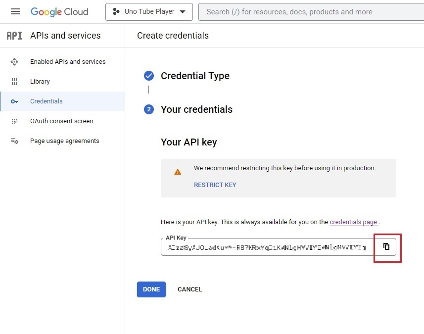 Google Console copy API key